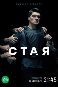 Стая 